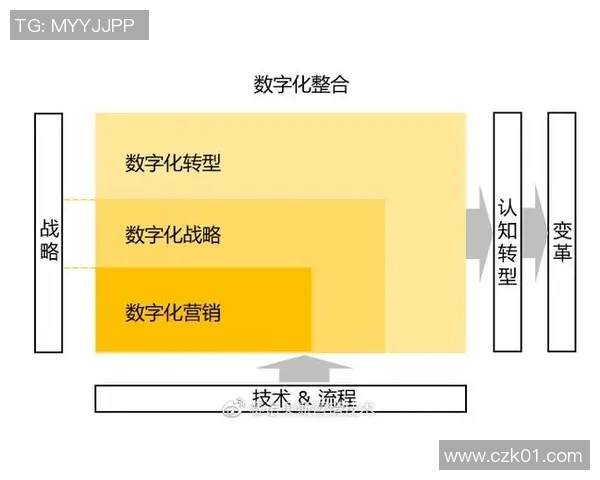 上海篮球队运营革新探索:从管理模式到市场推广的全方位转型之路